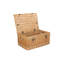 Wicker Rope Handled Storage Trunk