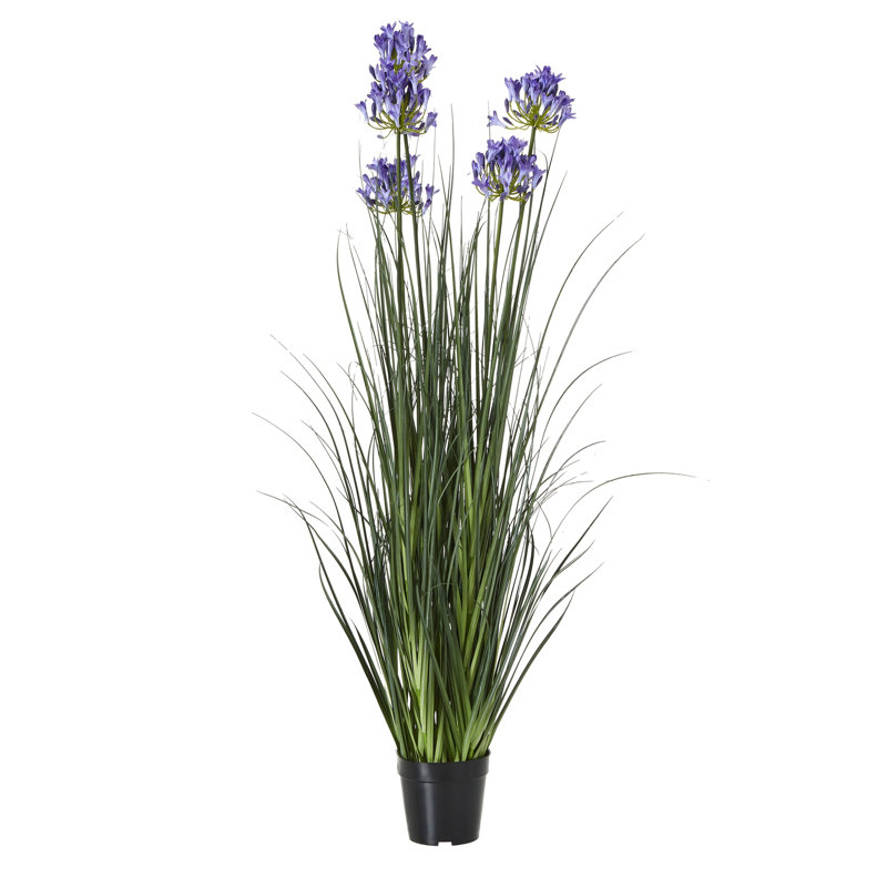 Andaiye 120cm Plant in Pot, Blue