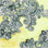 " Yellow--Gray Pattern 2 " Painting Print