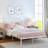 Alecia Metal Platform Bed-1762344105-1762344103