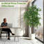 5.6ft Artificial Ficus Tree with White Pot, Tall Fake Plants for Indoor Home Decor, Living Room, Office Decoration