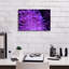 «Striped Long Tentacle Anemone» par Epic Portfolio, art mural sur toile-1287144973