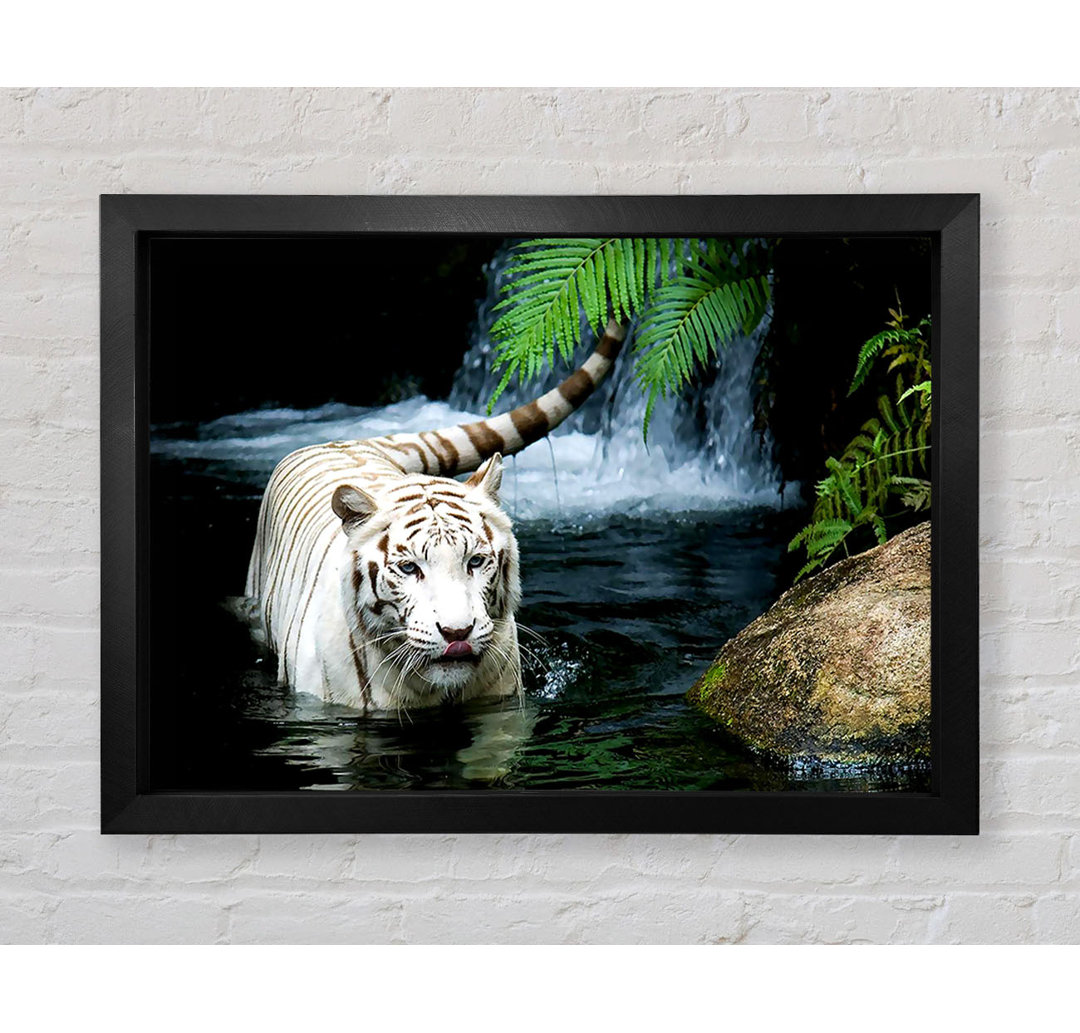 White Tiger Beautiful - Einzelner Bilderrahmen Kunstdrucke