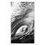 Tunnel Vision Print-26228055