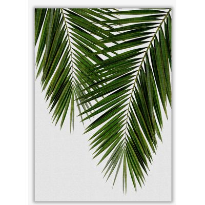 Palm Leaf II - Print