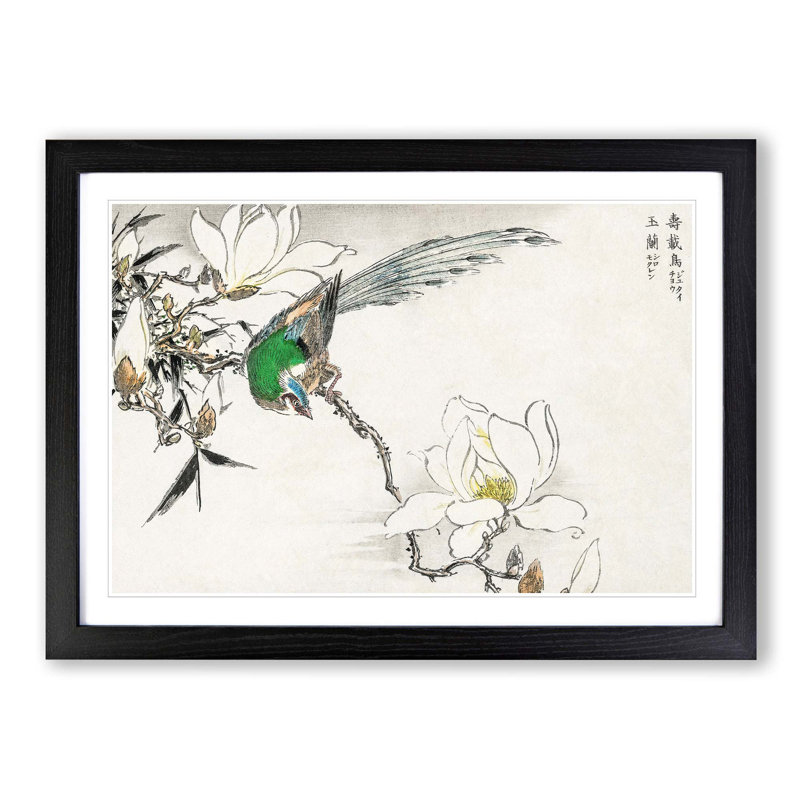 Pipit Bird and White Magnolias by Numata Kashu - Framed Print, Black, 40cm H x 60cm W x 2cm D