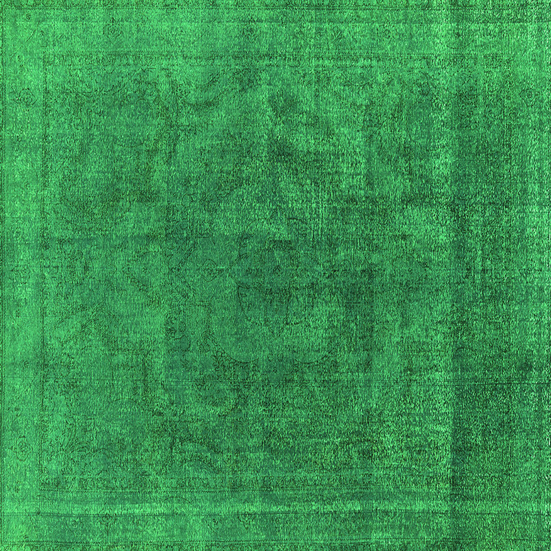 Estis Washable Oriental Indoor Rug, Square 3'