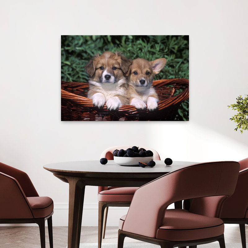 Deux chiots corgi gallois dans un panier rétro, art mural rétro, H 24 po x l 36 po