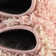 Rugs.com Ruby Trellis Shag Rug Light Pink