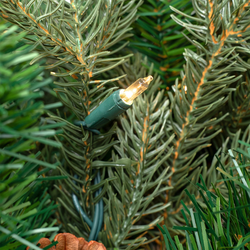 Pre-Lit Mixed Noble Spruce Wreath - 24" - Clear Lights