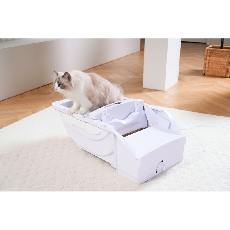 Litière Smart Cat avec hotte et grande ouverture, autonettoyante automatique, pour les grands félins, affichage à DEL, lavable, style américain, fonctionnalité de remplissage ABS, conception d'ouverture, chatons, présentoir,