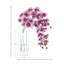 Orchidées Tania disposées dans un vase en verre-1258758442-1258758435