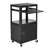 41'' H x 24'' W 1 AV Cart with Wheels