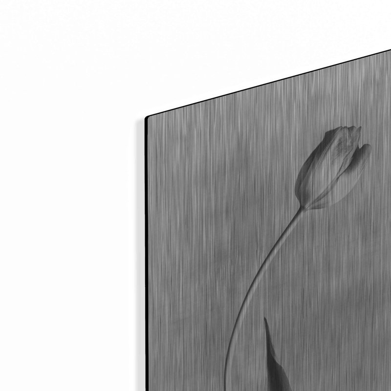 «Soft Tulips I» par Debra Van Swearingen, art mural en métal, H 16 po x l 12 po