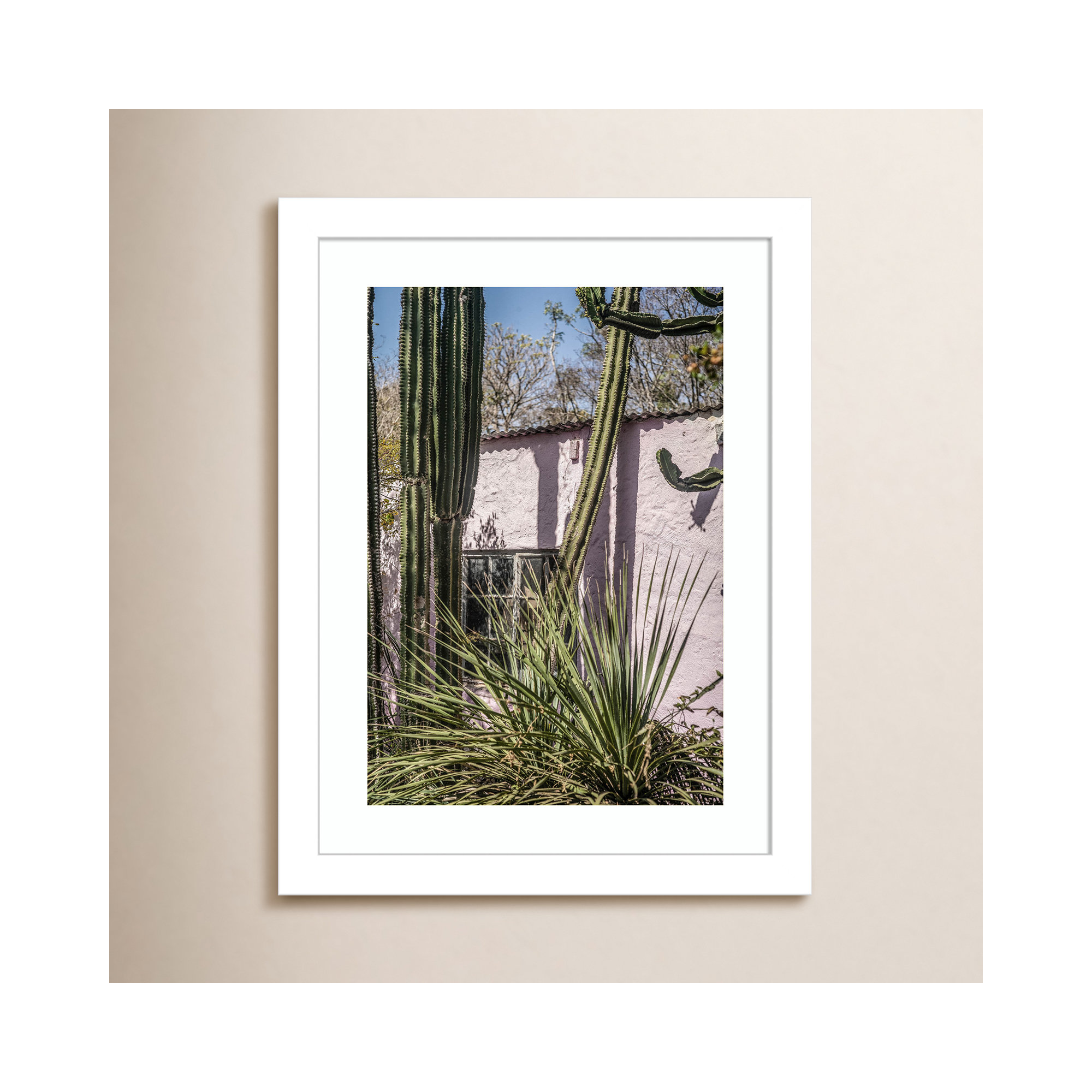 Plants On Pink by Shot by Clint Wood Framed Wall Art Print, 13" H x 10" W, White
