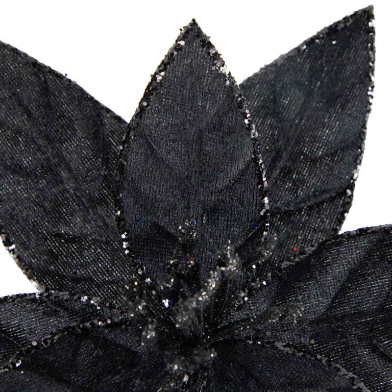 Tiges de poinsettia, Noir
