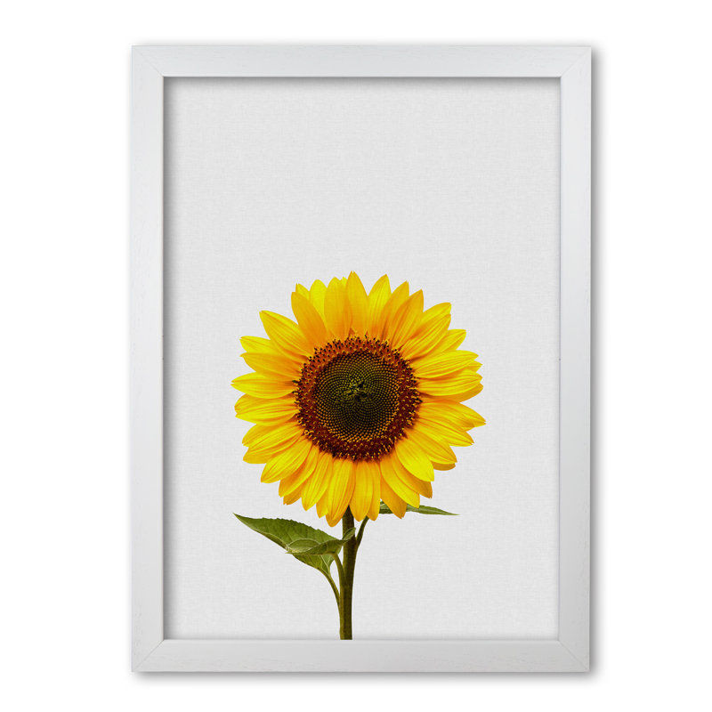 Sunflower Still Life - Print, 60 cm H x 42 cm W x 5 cm D, White Grain Frame