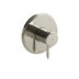 Polished Nickel