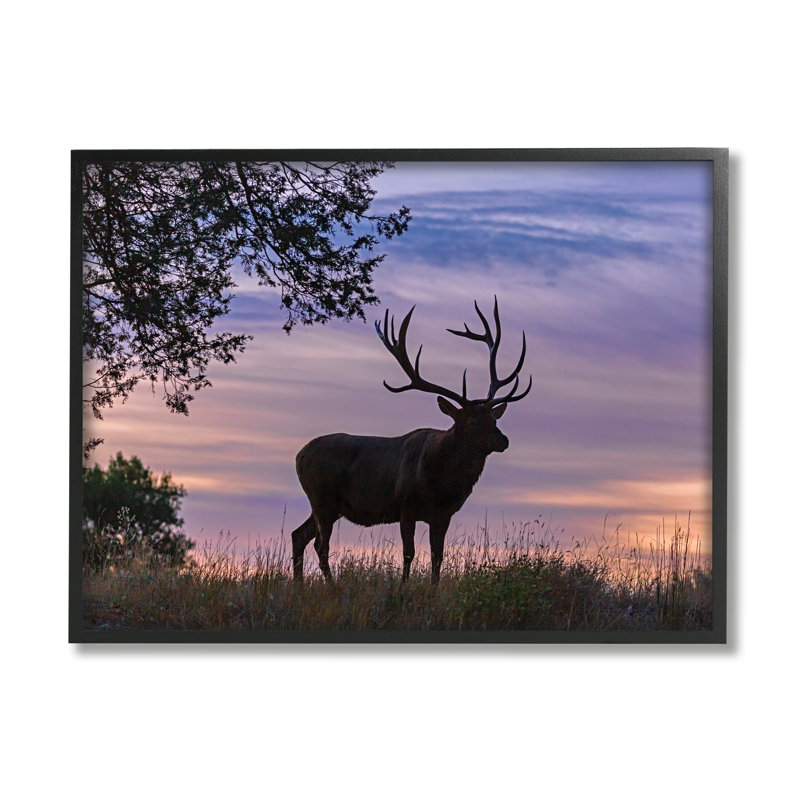 Wild Elk Sunrise Wild Forest, Cadre noir, H 16 po x l 20 po x P 2 po
