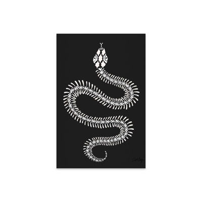 Squelette de serpent blanc sur peinture plastique / acrylique