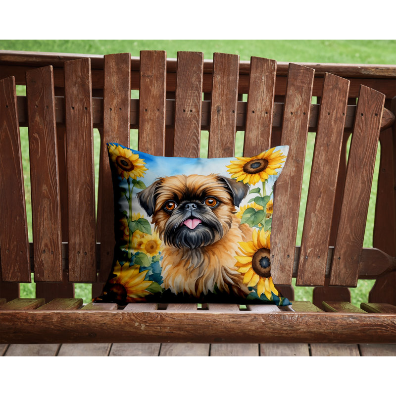 Other/No Pattern Outdoor Throw Pillow, 14" H x 14" W