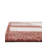 Tatasha Gingham Power Loom Polypropylene Plastic Indoor/Outdoor Area Rug in White/Red-328540017