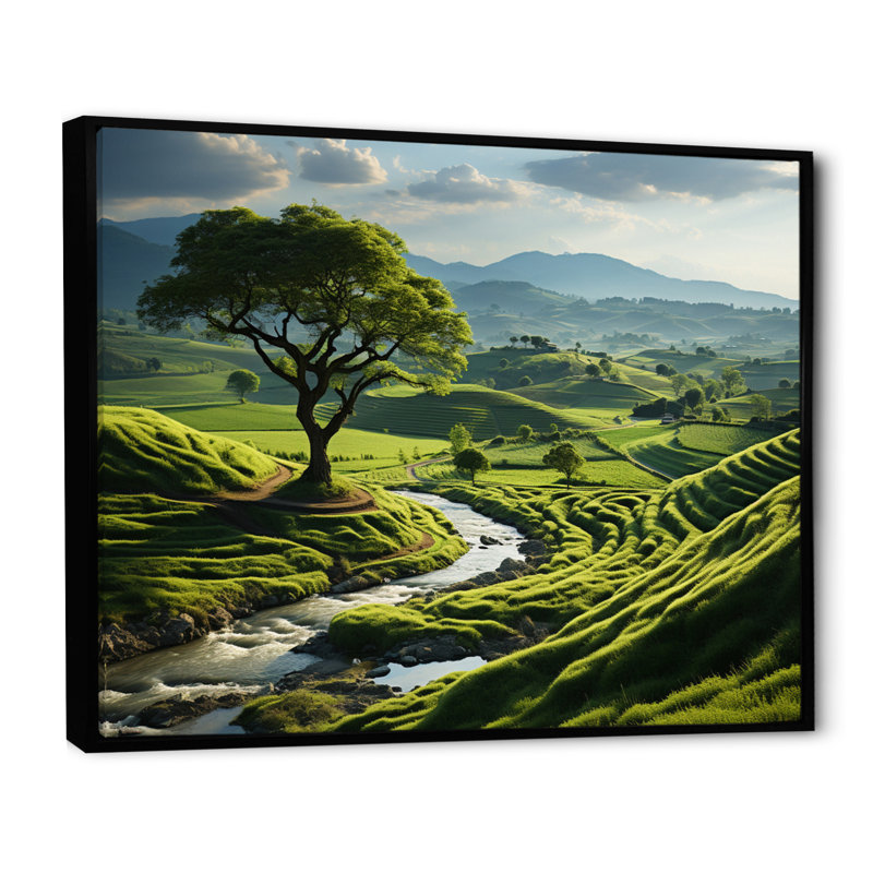 «Green Minimalisme Meadow II», impression d'art mural, Cadre flottant noir, H 30 po x l 40 po x P 1,5 po