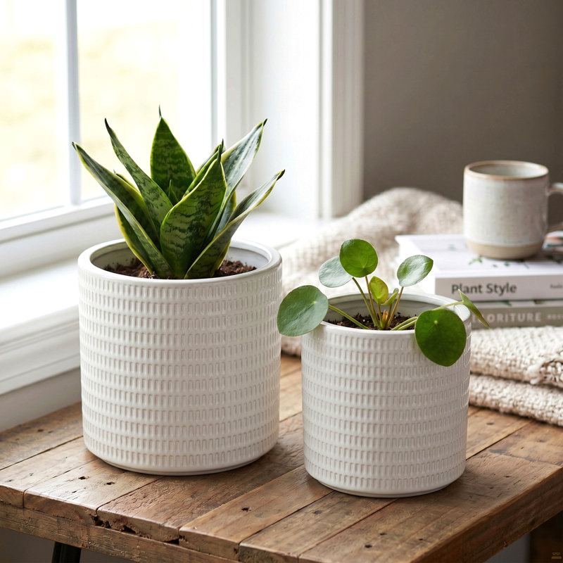 S/2 Textured White Ceramic Planters