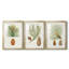 Cônes de pin antique II - reproduction encadrée sur mesure de qualité supérieure mate - 3 pièces-38492655-38492654