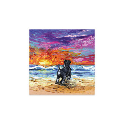 Beach Days - Schnauzer Print On Acrylic Glass