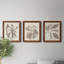 Ensemble de 3 cadres photo sur toile Midnight Tulip V-981462661-981462680