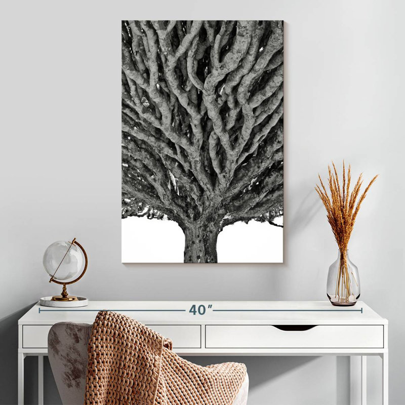 Harnek Monochrome Dragon Tree, 30" H x 20" W