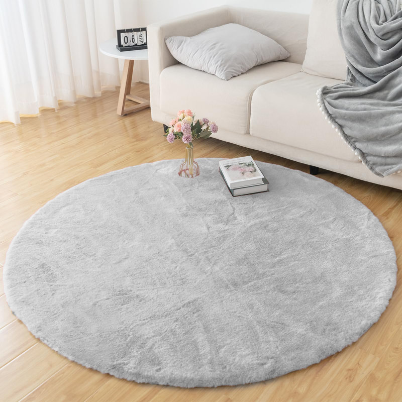 Allysandra Washable Indoor Rug, Round 4'