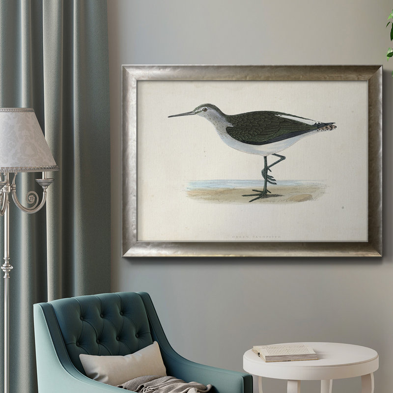 Toile encadrée de qualité supérieure Morris Sandpipers VI - prête à être accrochée, H 24 po x l 36 po