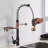 AlenArtWater Pull Down Kitchen Faucet-101289914
