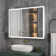 Seevers Frameless Medicine Cabinet with Mirror - 40'' W x 30'' H & 48'' W x 30'' H, 6 Adjustable Shelves