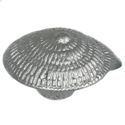 Oceana Sea ??Snail Novelty Knob