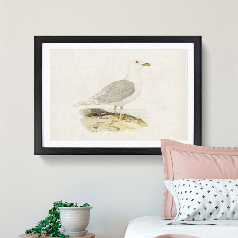 Icelandic Gull by Von Wright - Picture Frame Painting Print, 36cm H x 48cm W x 2cm D, Black Framed