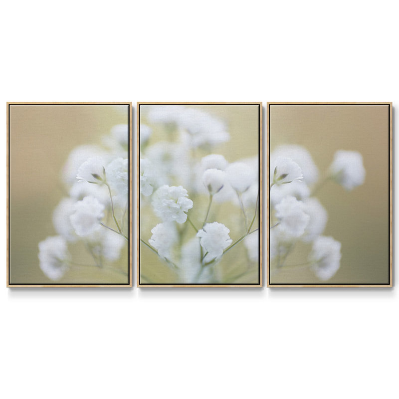 " Baby's Breath Study I " 3 - Pieces, 24" H x 48" W x 2" D, Natural