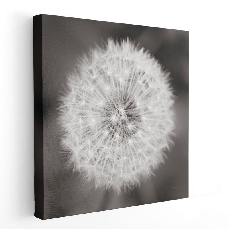 Tête de pissenlit noir et blanc - reproduction d'art sur toile, H 40 po x l 40 po