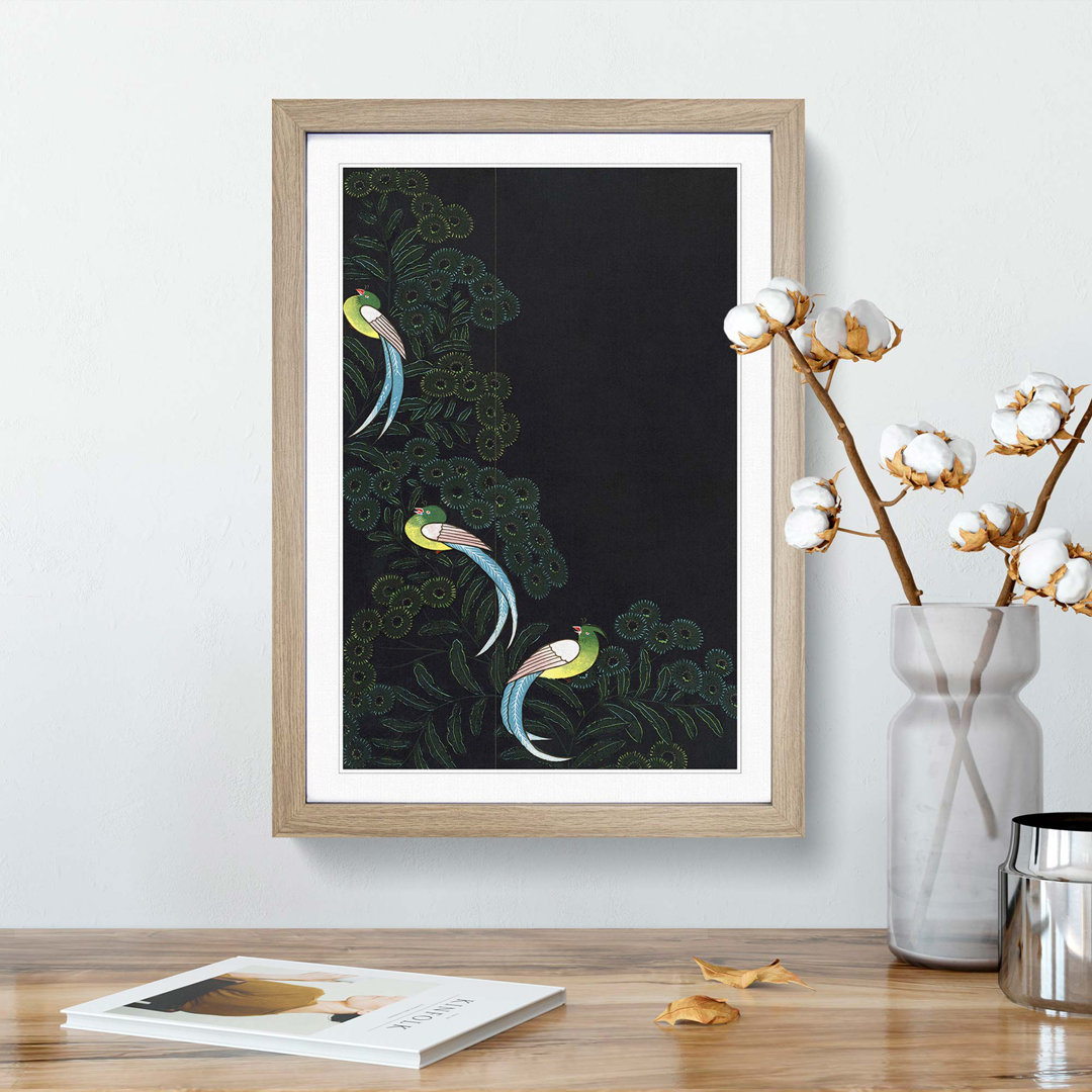 Kimono Design with Three Colourful Birds - Picture Frame Painting Print