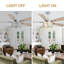 Ventilateur de plafond 52 po en cristal avec lumières et télécommande, moteur à 6 vitesses à courant continu, minuterie et ventilateur réversible pour le salon, la chambre à coucher