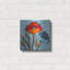 «Poppy 4» par St. Hilaire Elizabeth-1329023767
