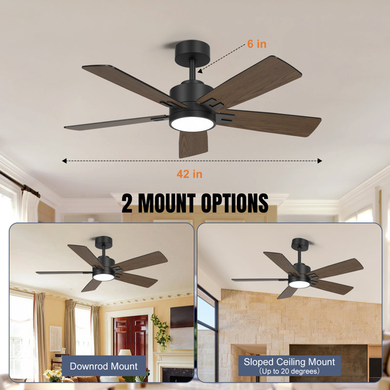 Smart Ceiling Fan With Reversible Blades, Remote & App Control, Led Light, And Dc Motor, 42" Wide, Black