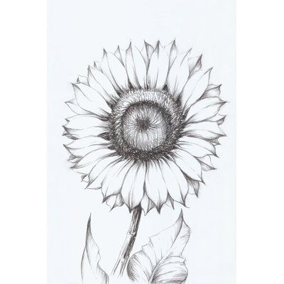 Croquis de tournesol par échelle blanche