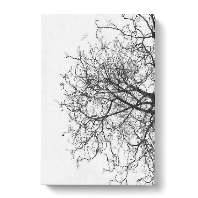 Bare Tree - Wrapped Canvas, 60cm H x 40cm W x 3cm D