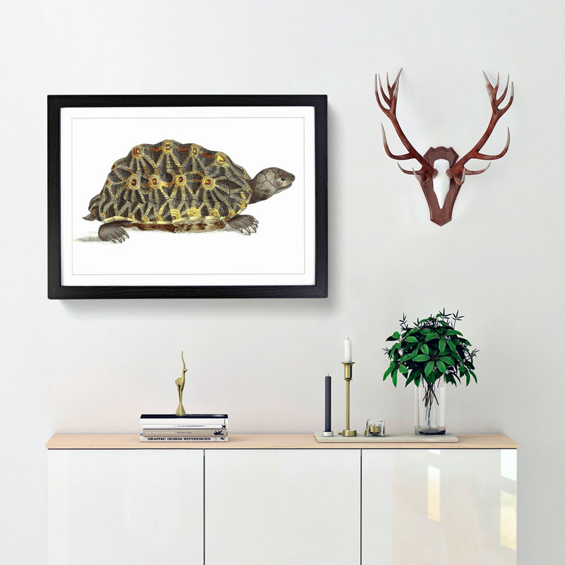Tortoise by George Shaw - Picture Frame Painting Print, 36cm H x 48cm W x 2cm D, Black Framed