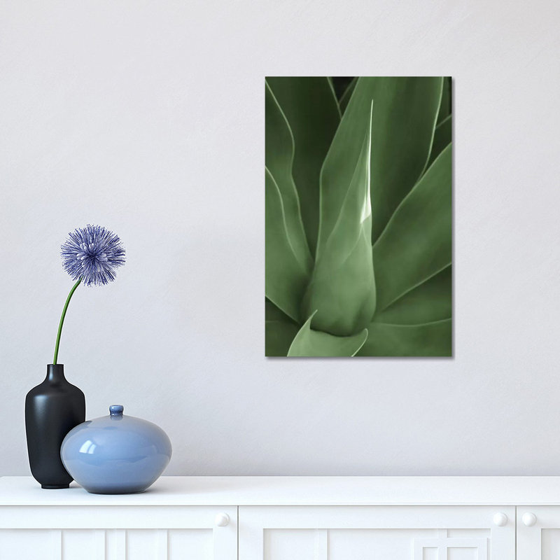 Tropica III by Boyce Watt - Wrapped Canvas Rectangle Print, 30.48 cm H x 45.72 cm W