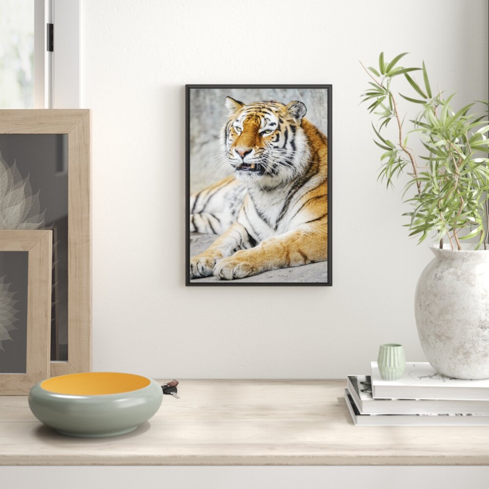 Gerahmtes Wandbild stolzer Tiger