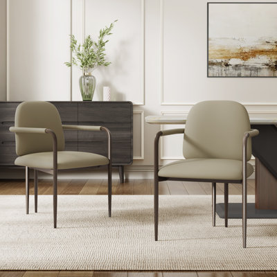 Denver Modern Dining Chairs With Iron Frame by Latitude Run